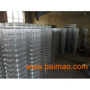 镀锌钢丝网厂 专业供应与生产，解析产品价格与镀锌线管的关联